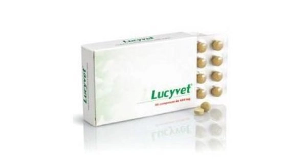 farmaciaconticini2325799