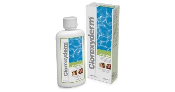 farmaciedelsorriso2159596